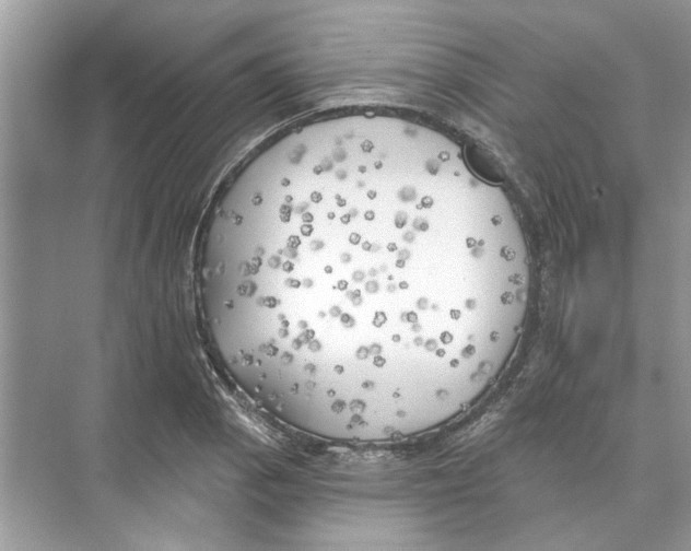 X0000074261129200609222144