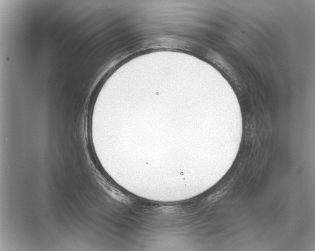 X0000074261130200609222144