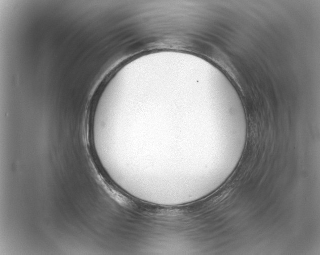 X0000074261131200609222144