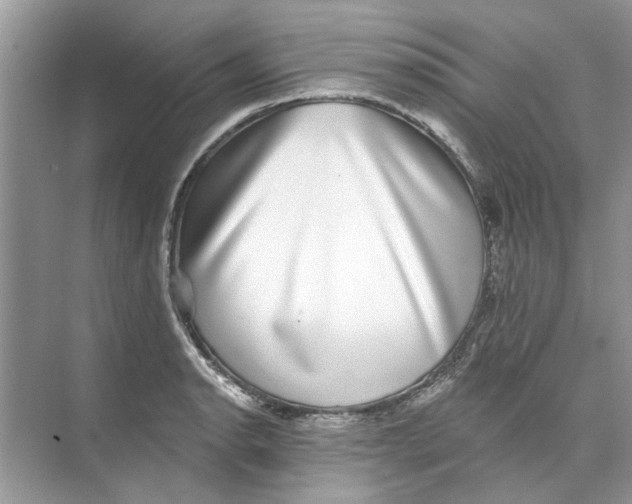 X0000074261134200609222144