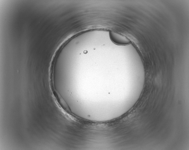 X0000074261135200609222144