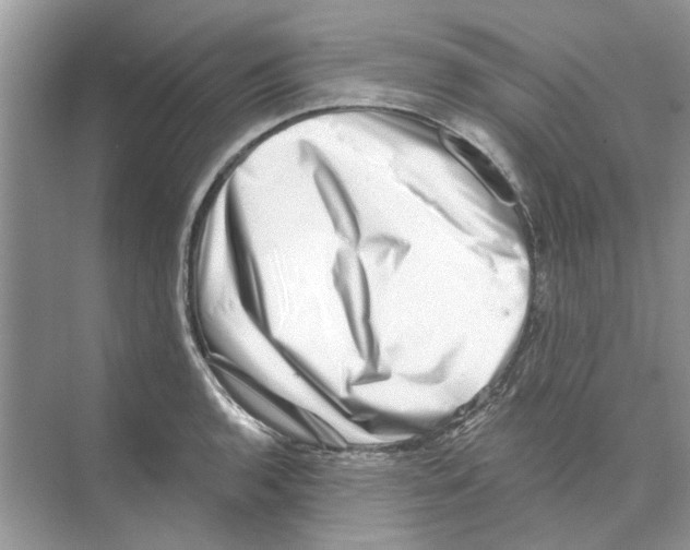 X0000074261136200609222144