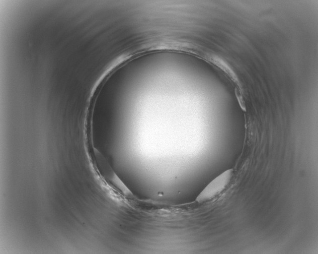 X0000074261138200609222144