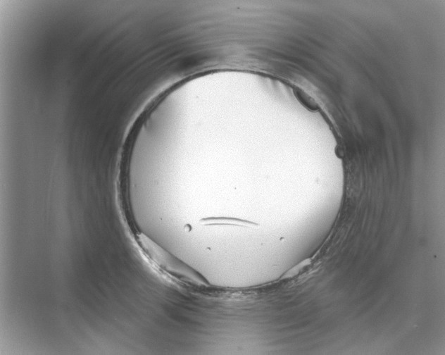 X0000074261139200609222144