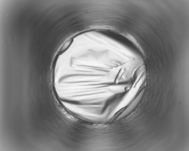 X0000074261140200609222144