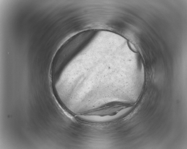 X0000074261141200609222144