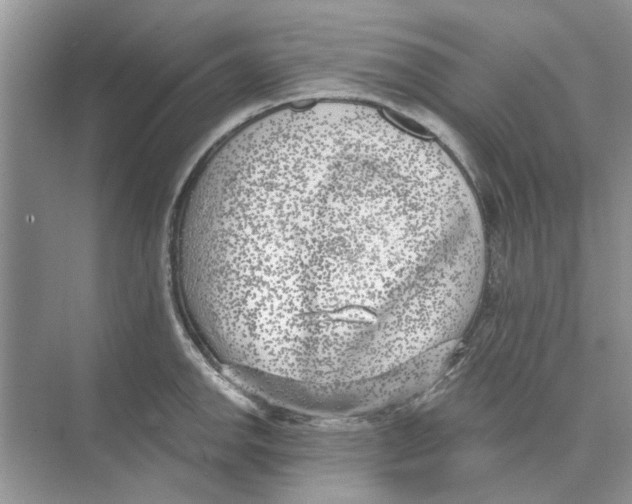 X0000074261142200609222144