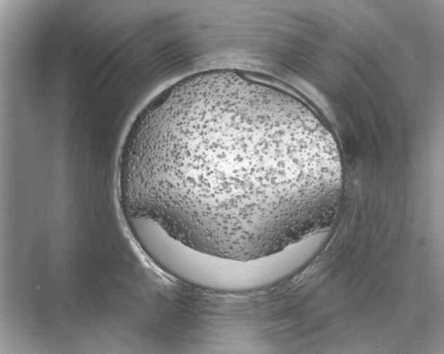 X0000074261144200609222144