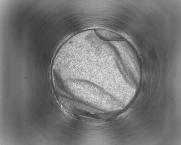 X0000074261145200609222144