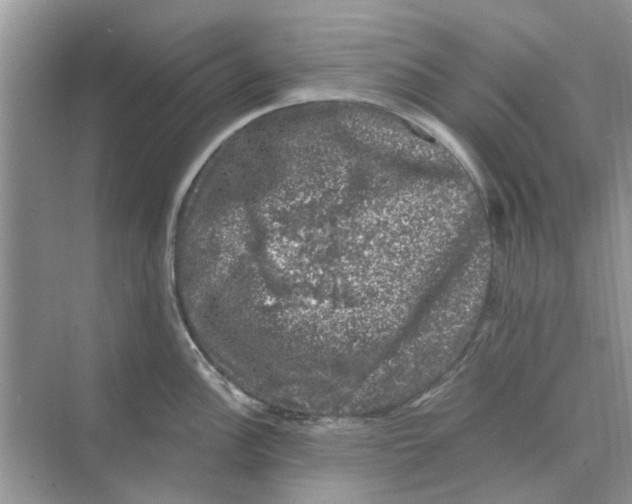 X0000074261148200609222144