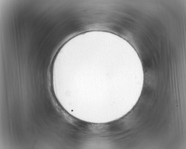 X0000074261150200609222144