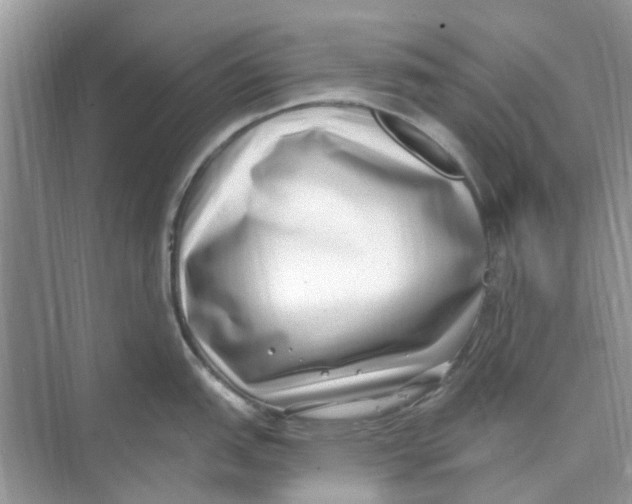 X0000074261151200609222144