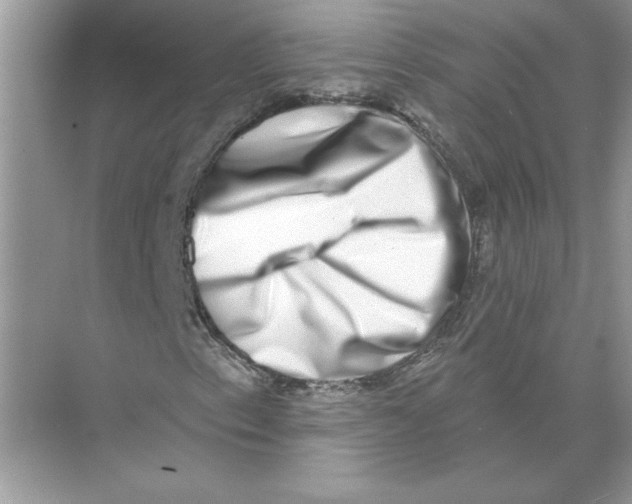 X0000074261153200609222143