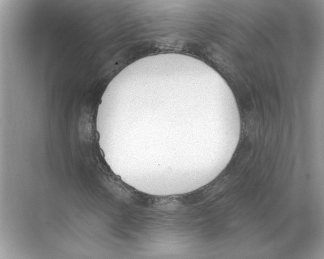 X0000074261154200609222143