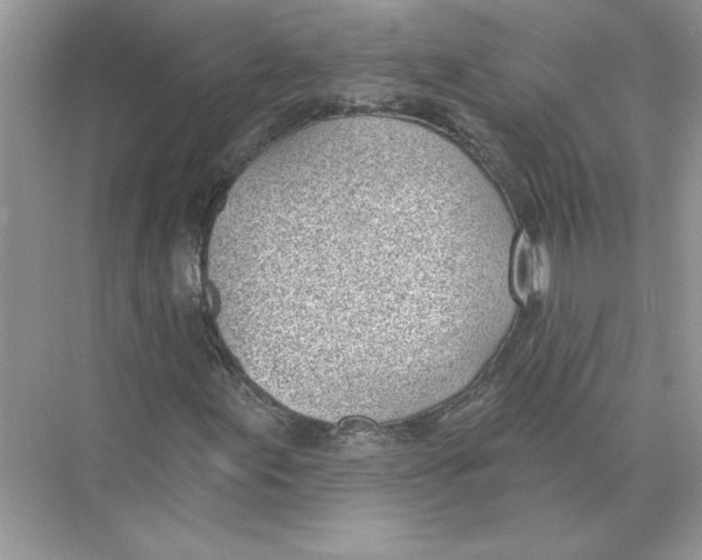 X0000074261155200609222143