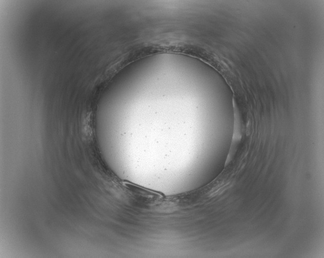 X0000074261156200609222143