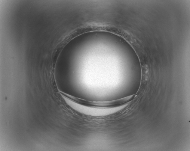 X0000074261157200609222143