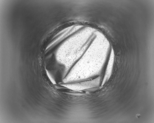 X0000074261159200609222143