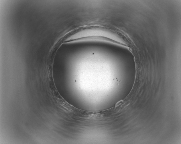 X0000074261160200609222143