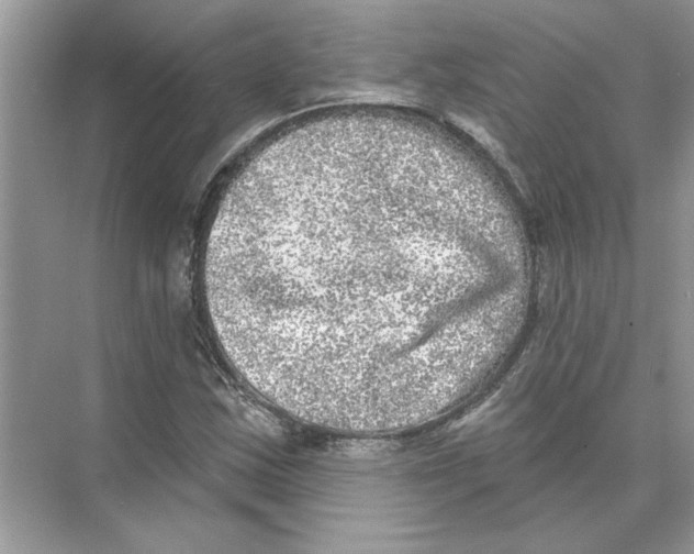 X0000074261163200609222143