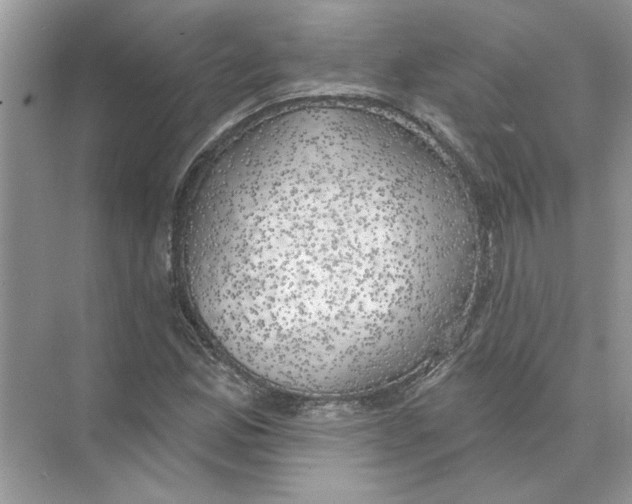 X0000074261165200609222143