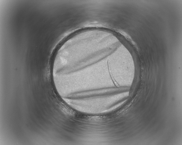 X0000074261167200609222143