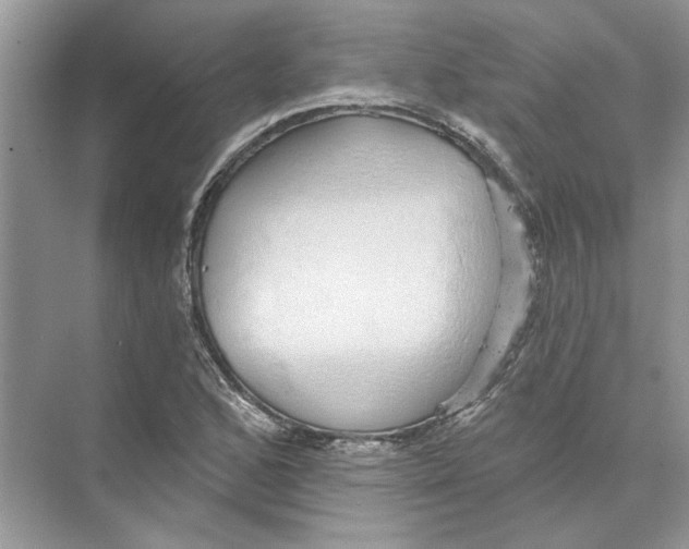 X0000074261168200609222143