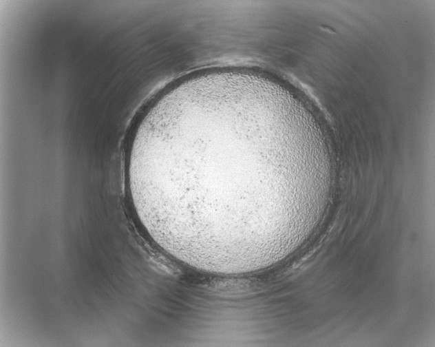 X0000074261171200609222143