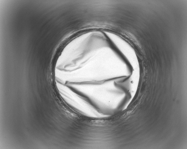 X0000074261172200609222143