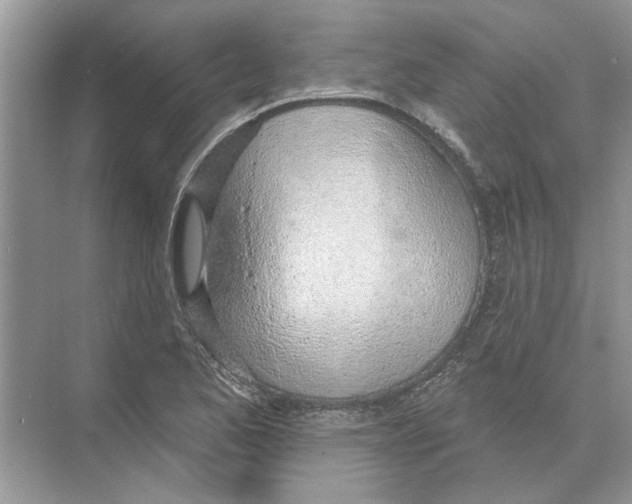 X0000074261173200609222143