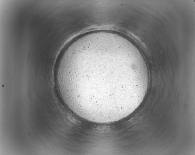 X0000074261174200609222143