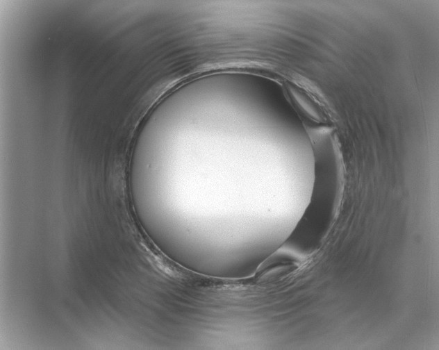 X0000074261177200609222143