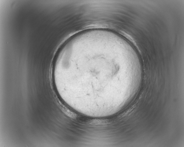 X0000074261179200609222143