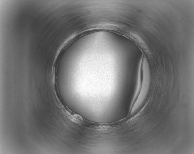 X0000074261180200609222143