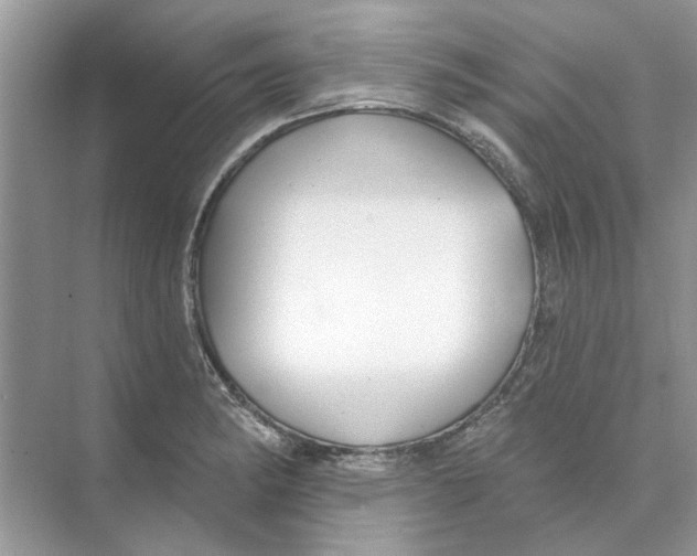 X0000074261182200609222143