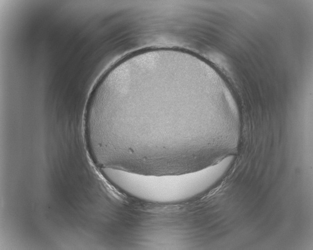 X0000074261183200609222143