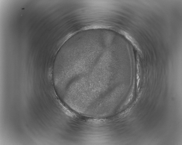 X0000074261185200609222143