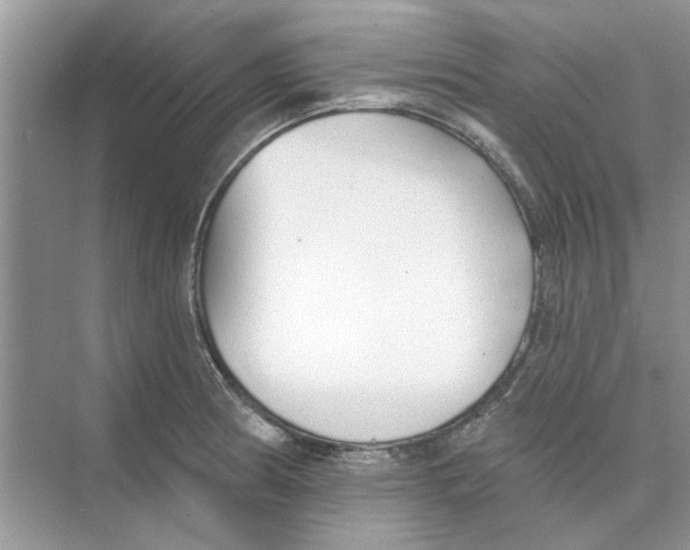 X0000074261186200609222143