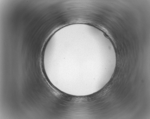 X0000074261187200609222143