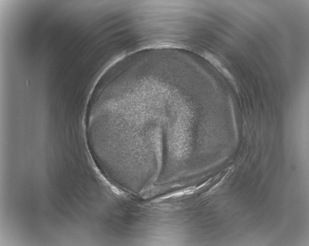 X0000074261189200609222143