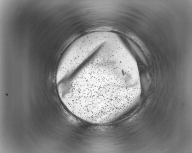 X0000074261193200609222143