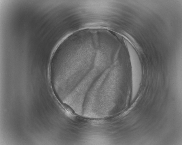 X0000074261196200609222143