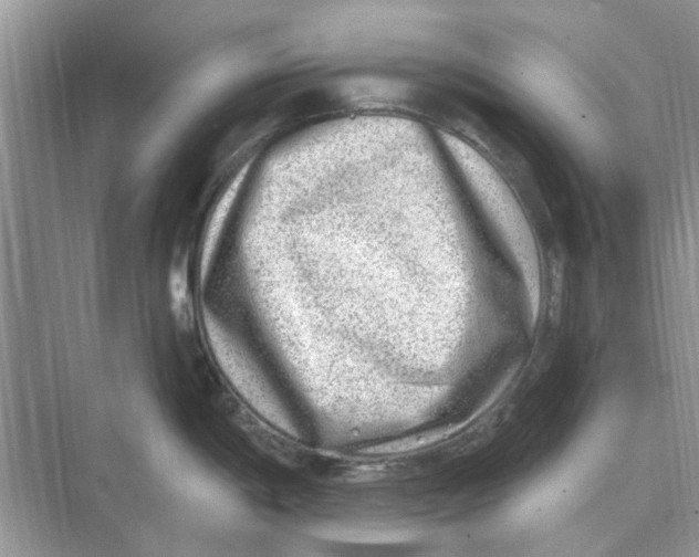 X0000074261198200609222143