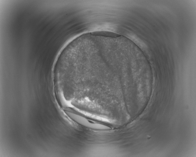 X0000074261200200609222143