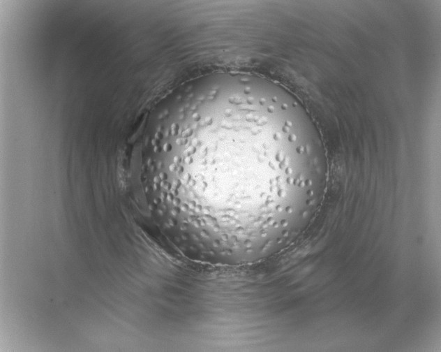 X0000074261202200609222142