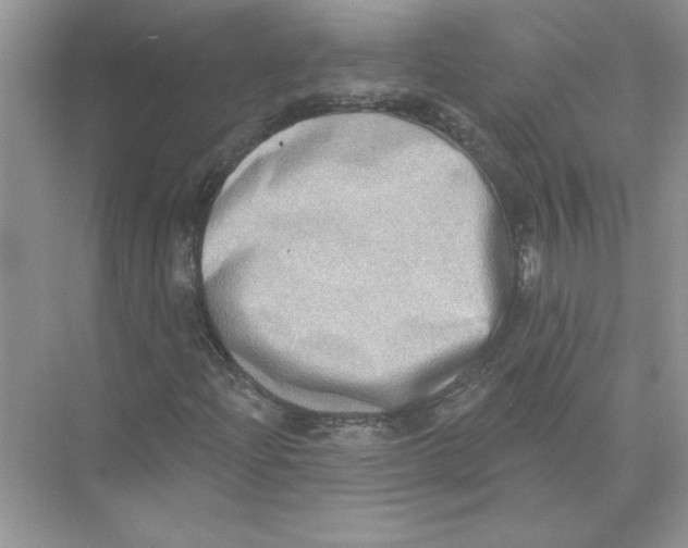 X0000074261204200609222142