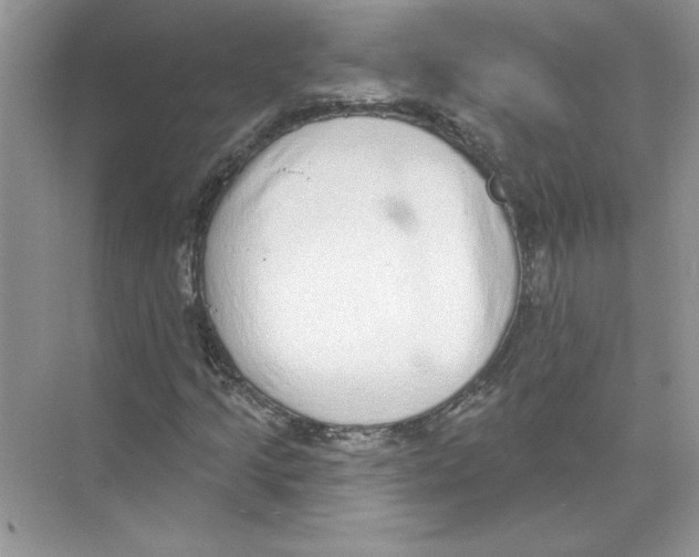 X0000074261205200609222142