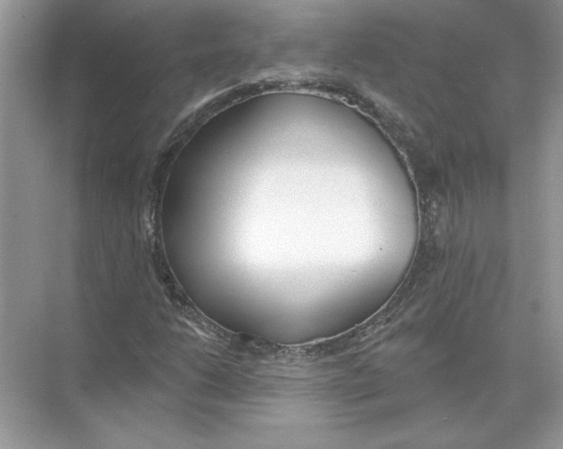 X0000074261206200609222142