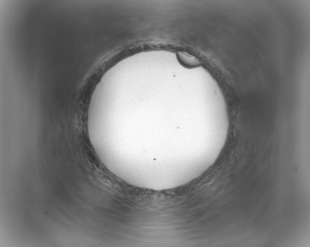 X0000074261207200609222142