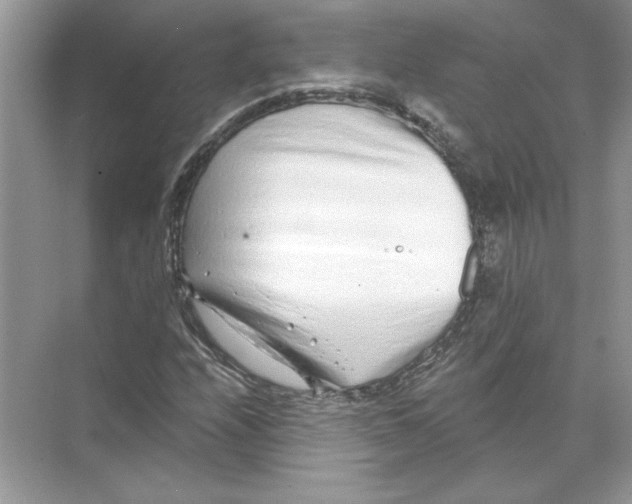 X0000074261208200609222142